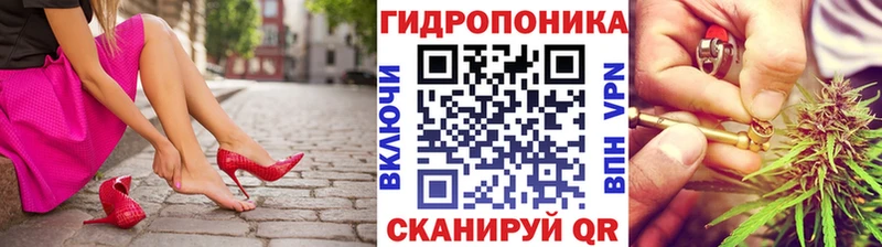 Купить закладки  Отрадное  Канабис MAZAR 